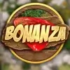 Bonanza