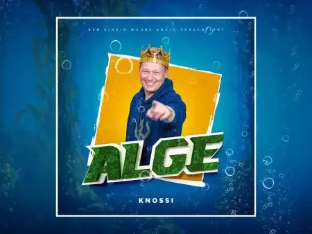 Was bedeutet „Knossi Alge“? Die Entstehung des Alge-Kults