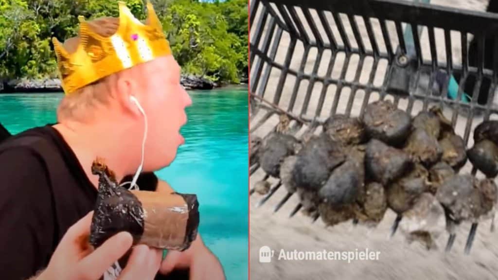 Knossi Scheiße und Pferdemist